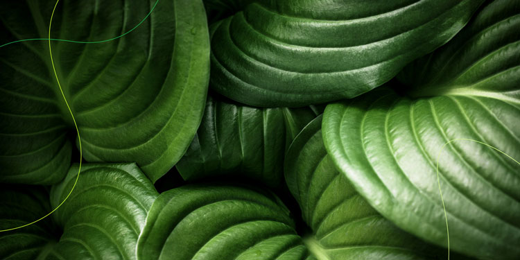 樹立品牌形象,vi品牌形象,品牌形象定位,品牌形象案例,