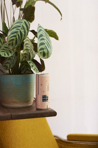 大老板棕櫚椰汁蘇打水品牌形象設(shè)計(jì)策劃和產(chǎn)品包裝設(shè)計(jì)