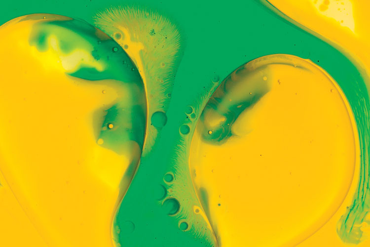 聯邦啤酒產品包裝設計,絢麗多彩