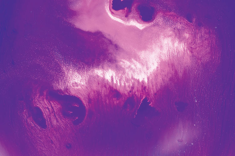 聯邦啤酒產品包裝設計,絢麗多彩