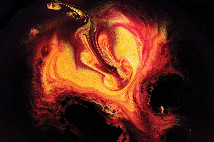 聯邦啤酒產品包裝設計,絢麗多彩