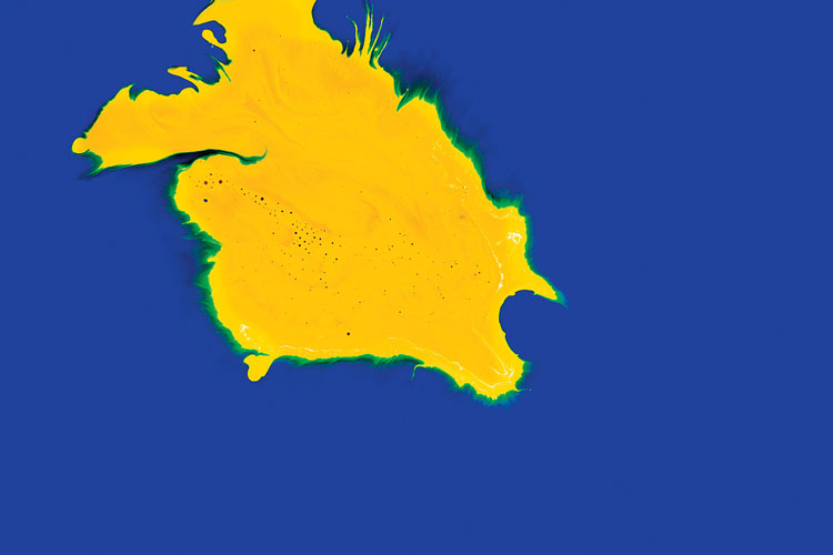 聯邦啤酒產品包裝設計,絢麗多彩