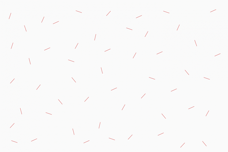 Bedow_identity_Terri-Timely_12