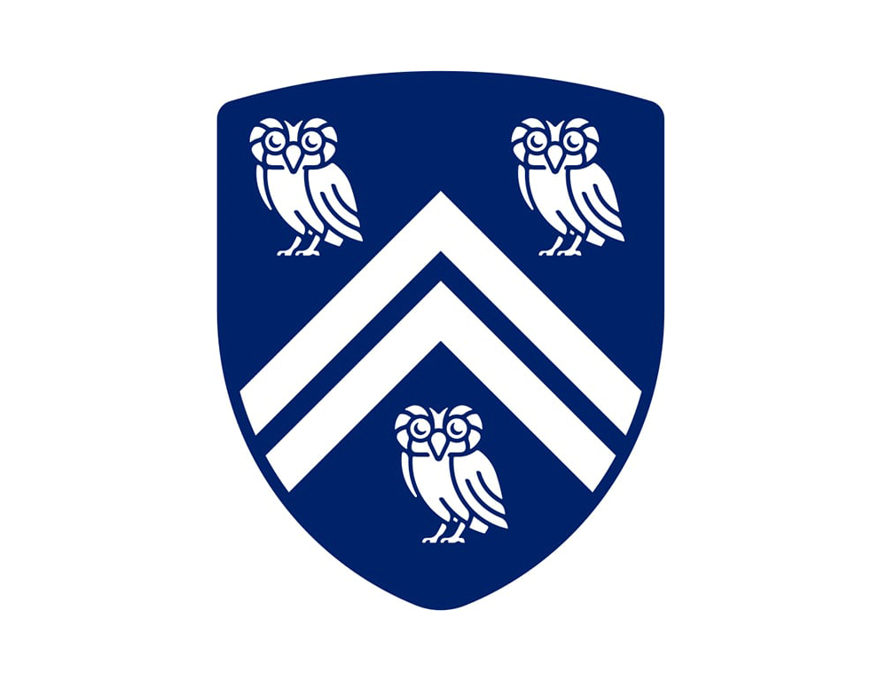 萊斯大學vi設計，品牌形象改造，logo設計