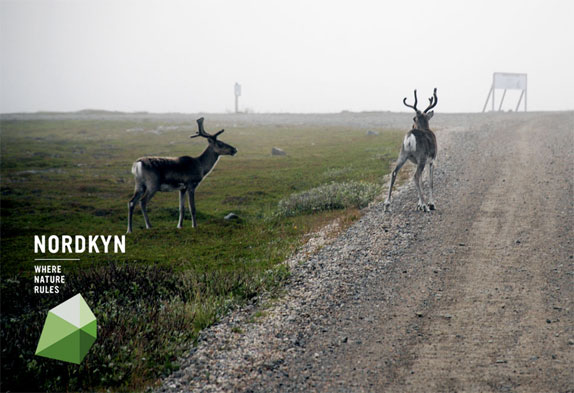 挪威Nordkyn全新旅游標(biāo)志設(shè)計(jì)